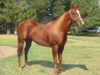 HÉRCULES